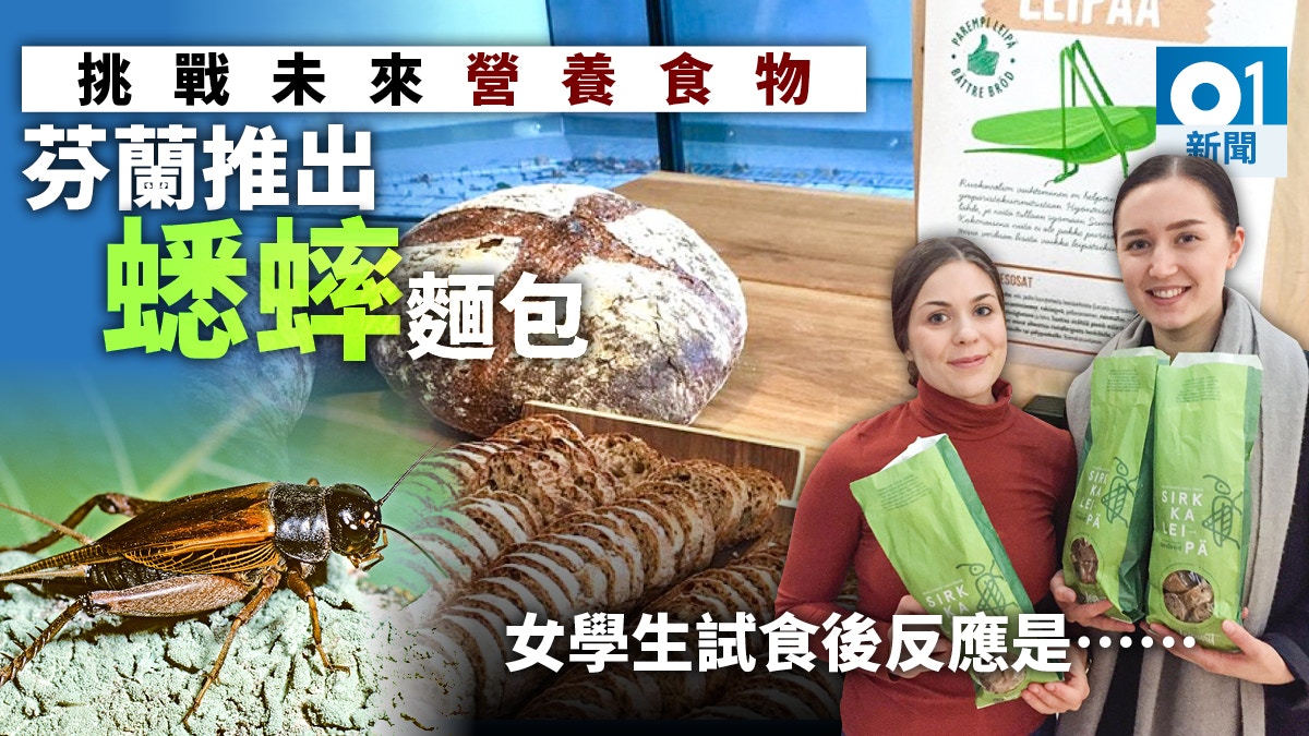 芬蘭推出蟋蟀麵包食客稱與一般麵包無異歐洲食蟲風氣或普及 香港01 即時國際