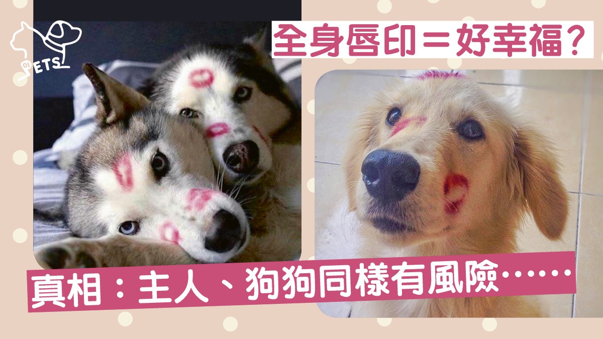 【愛的表現】歐美流行狗狗身上吻滿唇印　獸醫：小心唇膏含有……