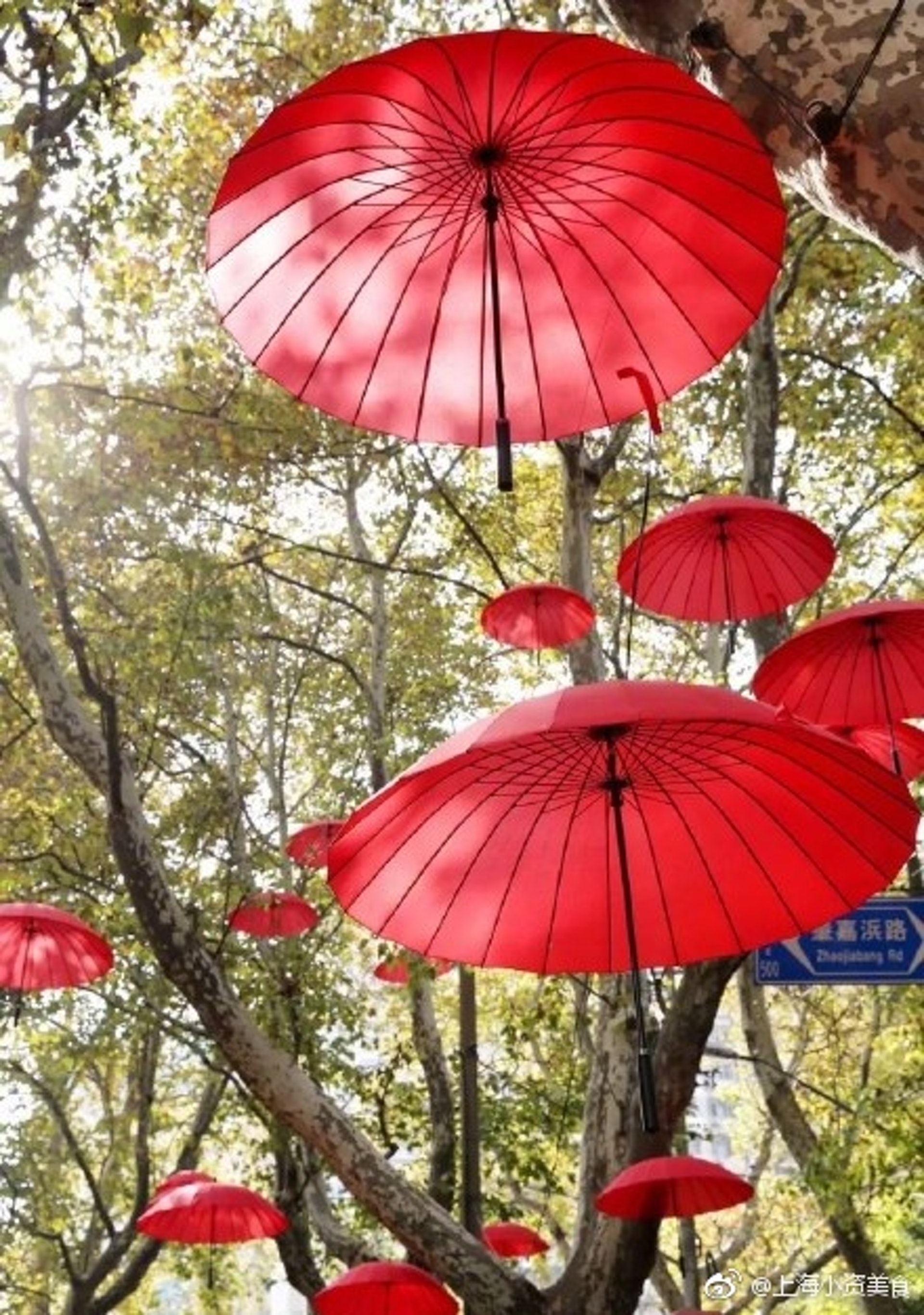 創作《雨》的藝術家透過把一把把紅色的雨傘懸掛在樹上,象徵大自然對人們的愛。(網上圖片) 創作《雨》的藝術家透過把一把把紅色的雨傘懸掛在樹上,象徵大自然對人們的愛。(網上圖片)