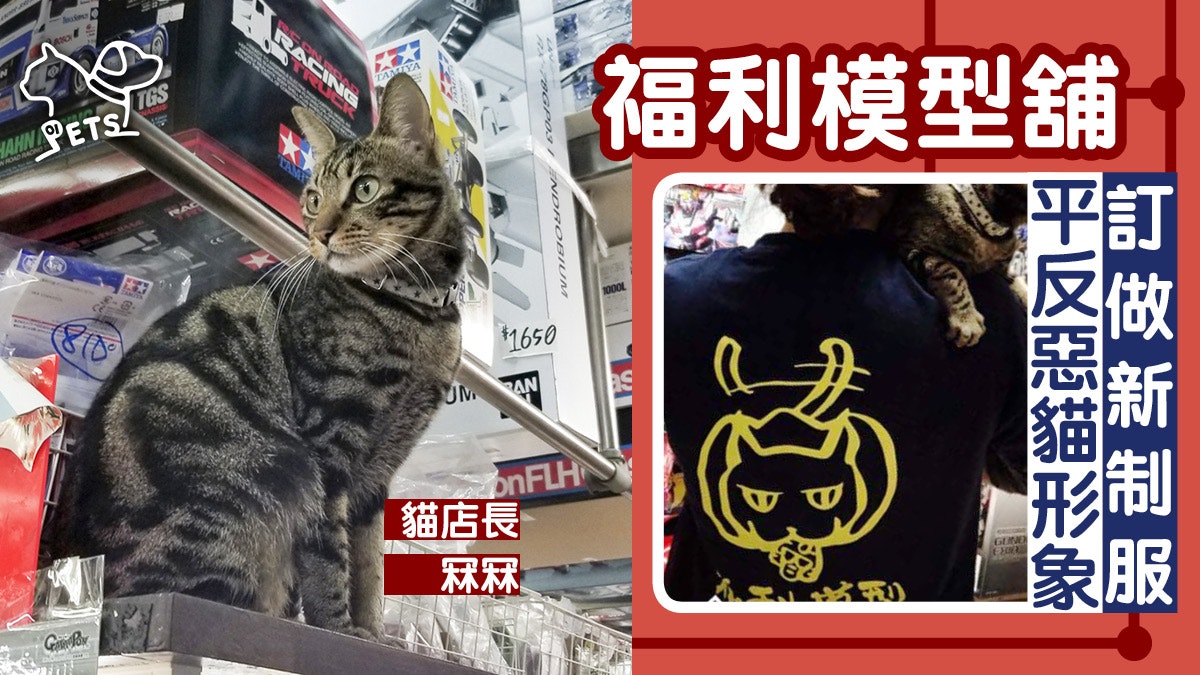 【貓店長】福利模型新制服 惡貓做Logo 福姑:佢哋係鎮店之寶! 【貓店長】福利模型新制服 惡貓做Logo 福姑:佢哋係鎮店之寶!