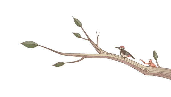 我正在說謊」——塔斯基和說謊者悖論