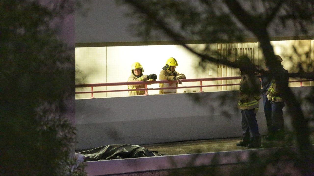梨木樹邨財困男墮樓亡