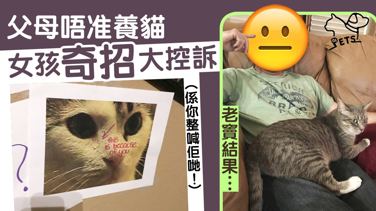 為養貓女孩炮製「可憐牆」盡訴心聲　什麼留言令父母改變主意？