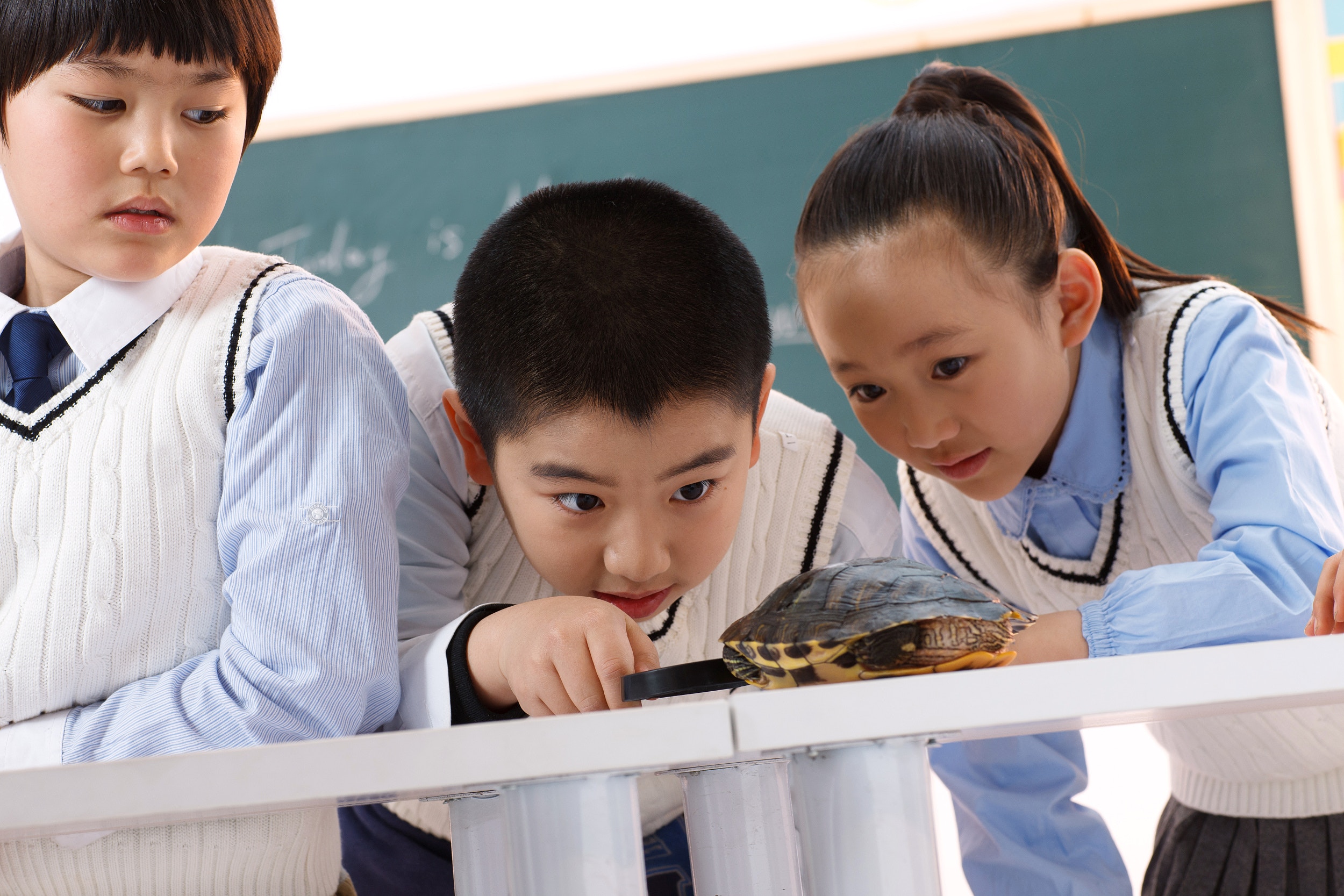 【解讀PISA．博評】教學潮流返璞歸真　探究式學習不如老師教導？