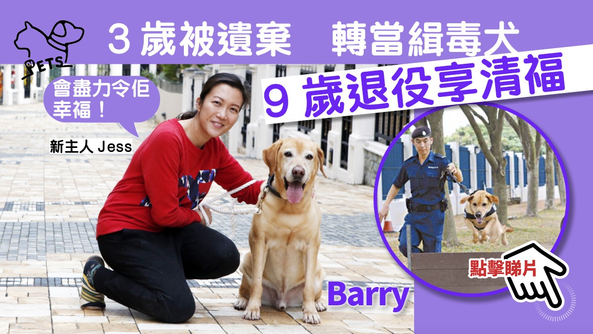 【有片】曾經流浪　當上警犬屢建功　退役Barry獲領養回家過聖誕