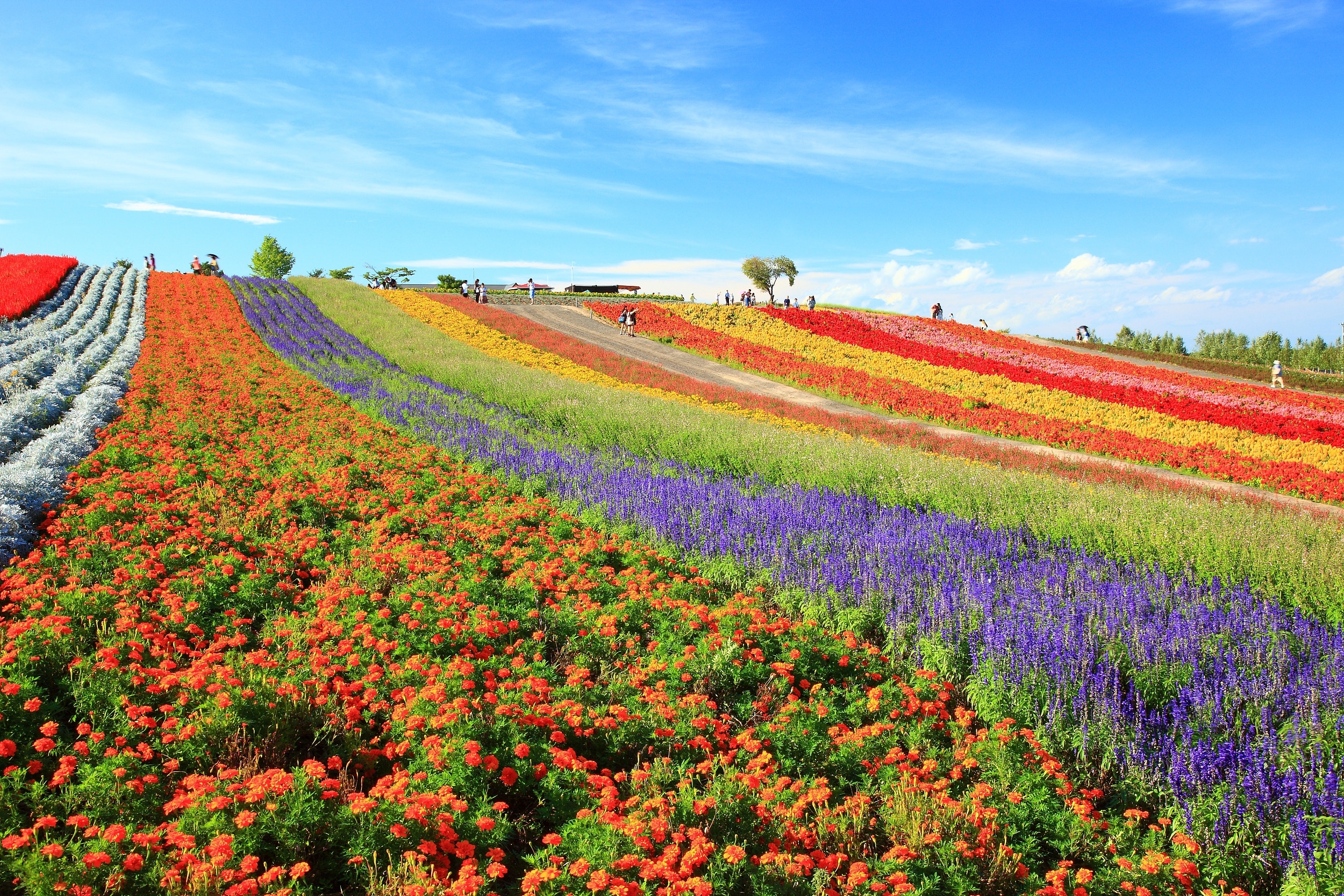日本地震調查委員會 北海道短期內或發生9級大地震威力或超311 香港01 即時國際