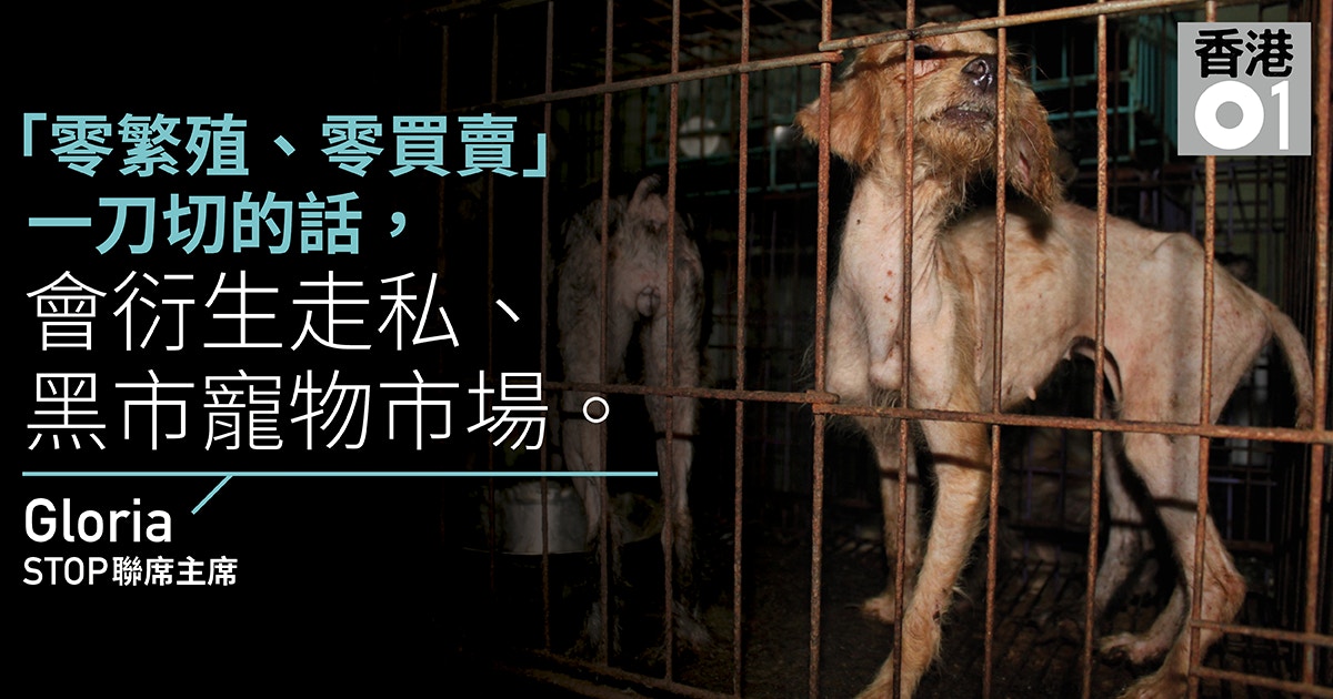 動物繁殖條例 支持團體 主流意向接受動物買賣宜管不宜禁 動物繁殖條例 支持團體 主流意向接受動物買賣宜管不宜禁