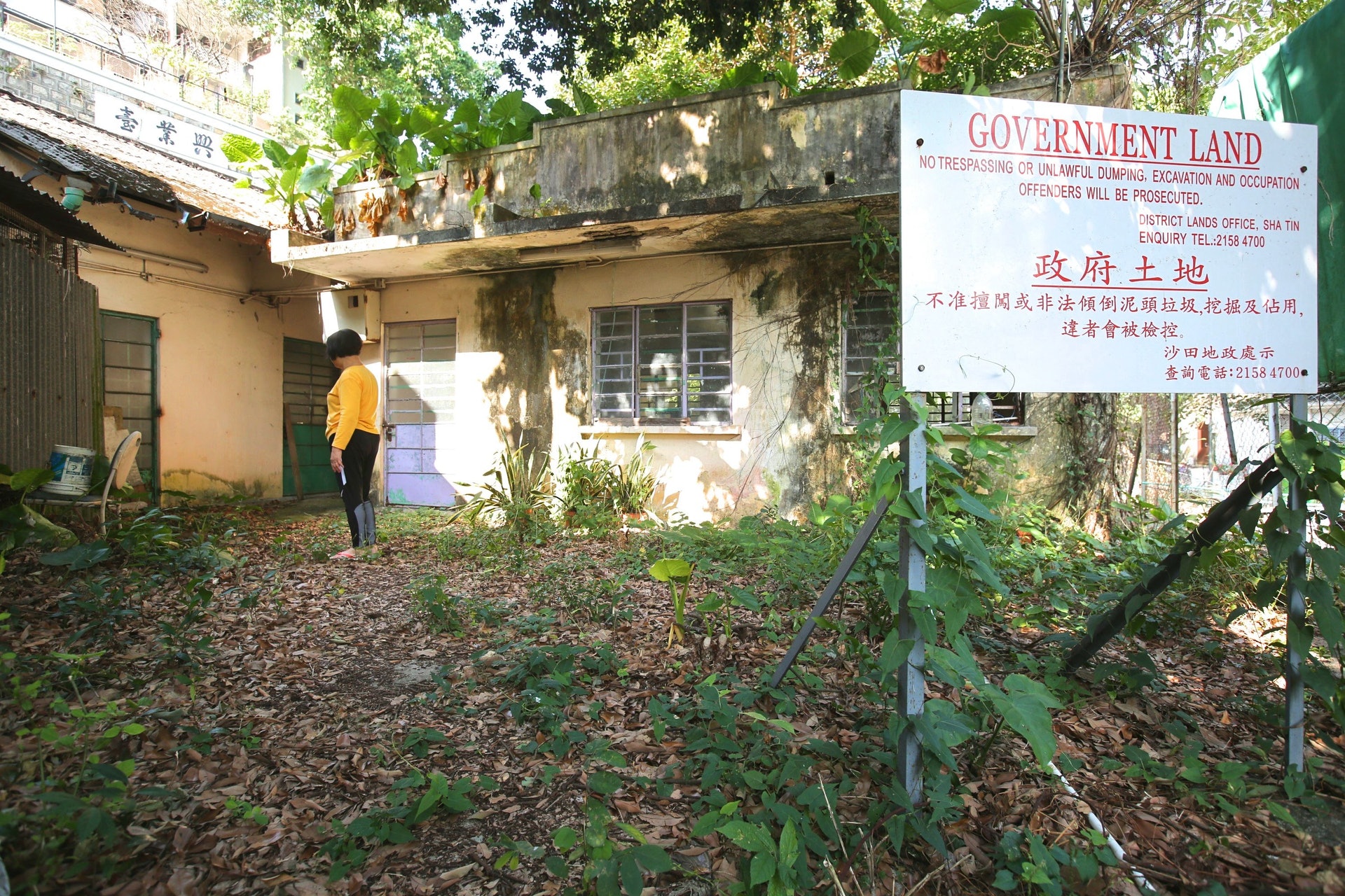 沙田排頭學校因收生不足已遭殺校,事隔多年,校舍卻已滋生蚊蟲,並面臨倒塌危機。(蔡正邦攝) 沙田排頭學校因收生不足已遭殺校,事隔多年,校舍卻已滋生蚊蟲,並面臨倒塌危機。(蔡正邦攝)