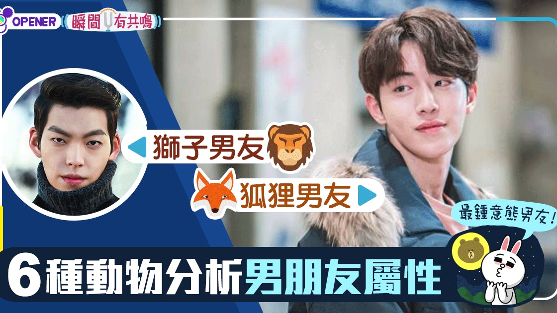你的男友是哪一種 6種動物分析男友特質 香港01 開罐 你的男友是哪一種 6種動物分析男友特質 香港01 開罐