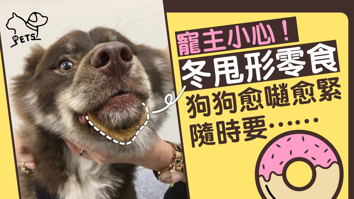 【狗主注意】獸醫警告:小心冬甩形零食 隨時卡住狗狗下顎! 【狗主注意】獸醫警告:小心冬甩形零食 隨時卡住狗狗下顎!