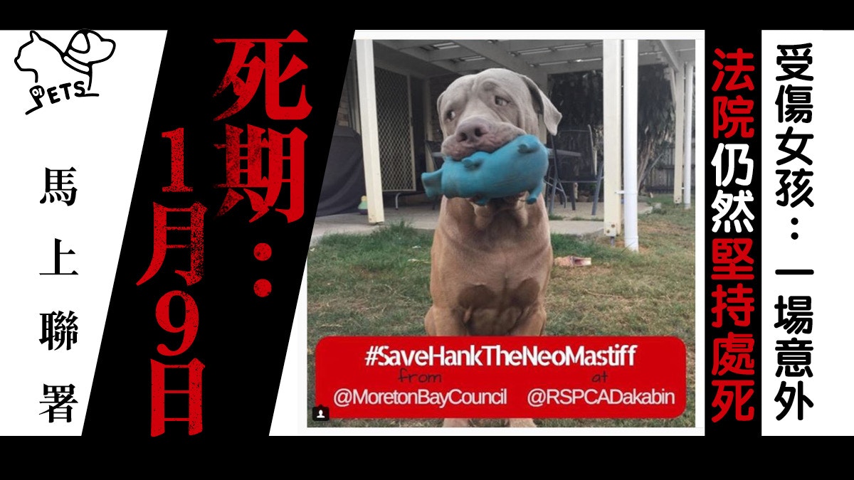 傷人狗狗大限將至主人發起網上聯署最終能否推翻法院裁決