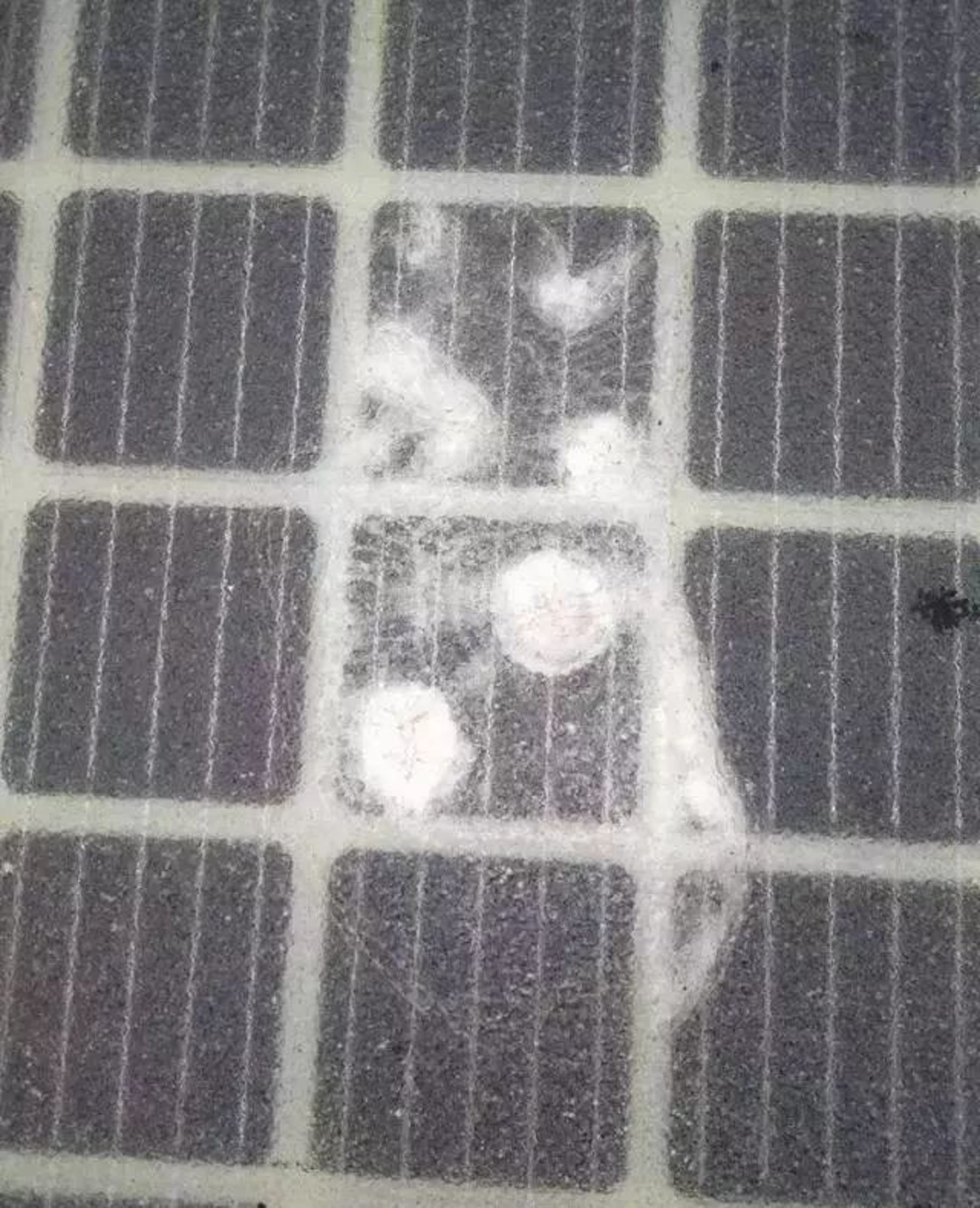 路面組件有被重擊過的痕跡。(網上圖片) 路面組件有被重擊過的痕跡。(網上圖片)