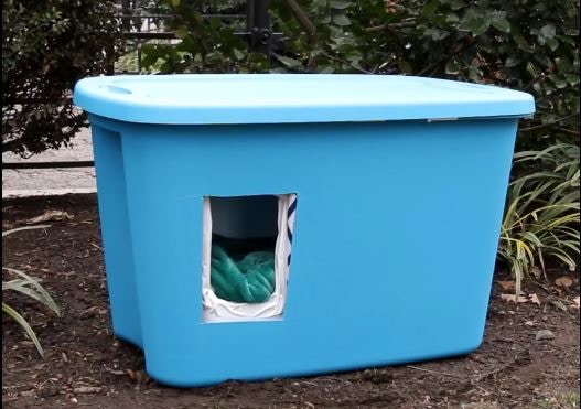 動手製作保暖屋，幫助貓貓渡過寒冬。(影片截圖)
