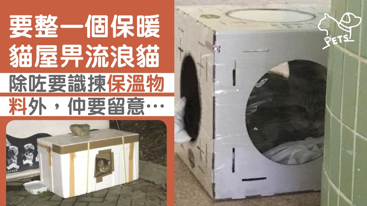 【寵物保暖】自家製保暖流浪貓屋 為浪浪提供溫暖 【寵物保暖】自家製保暖流浪貓屋 為浪浪提供溫暖