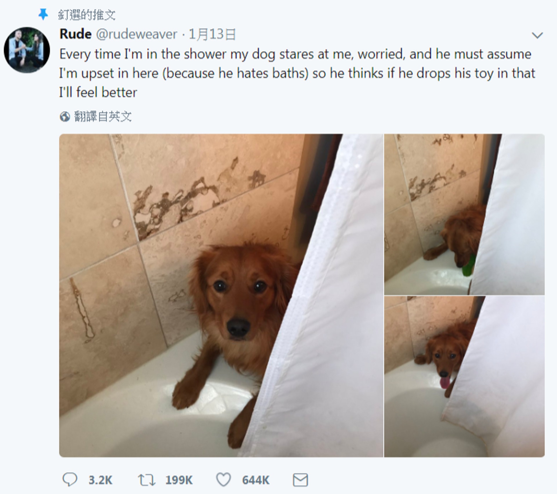 韋法日前在twitter分享一件有趣的生活小事,指愛犬奇勒經常在她洗澡時一副擔心的樣子凝視她,又會把牠心愛的玩具放在水中。(rudeweaver twitter截圖) 韋法日前在twitter分享一件有趣的生活小事,指愛犬奇勒經常在她洗澡時一副擔心的樣子凝視她,又會把牠心愛的玩具放在水中。(rudeweaver twitter截圖)