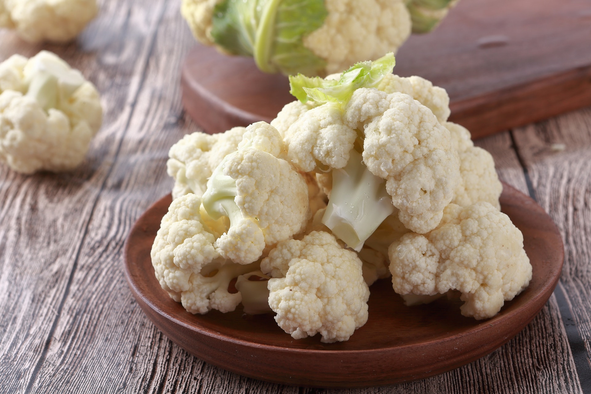 最新 白菜花英文2103 白菜花英文 最新 白菜花英文2103 白菜花英文