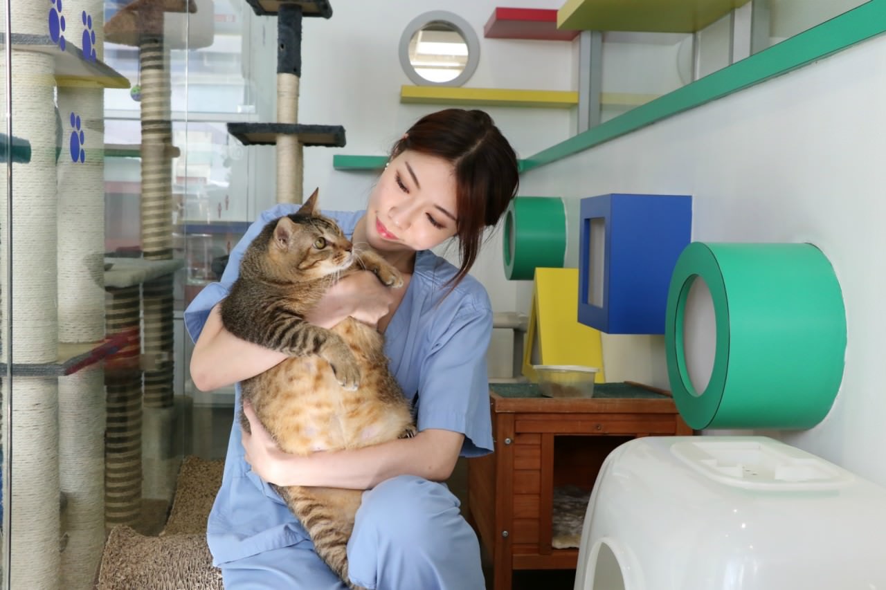 新年限定】長假必備應急名單24小時獸醫診所新正頭照常營業