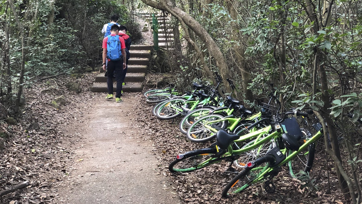 【共享單車】13輛Gobee.bike被棄東涌行山徑 公司稱派員回收 【共享單車】13輛Gobee.bike被棄東涌行山徑 公司稱派員回收