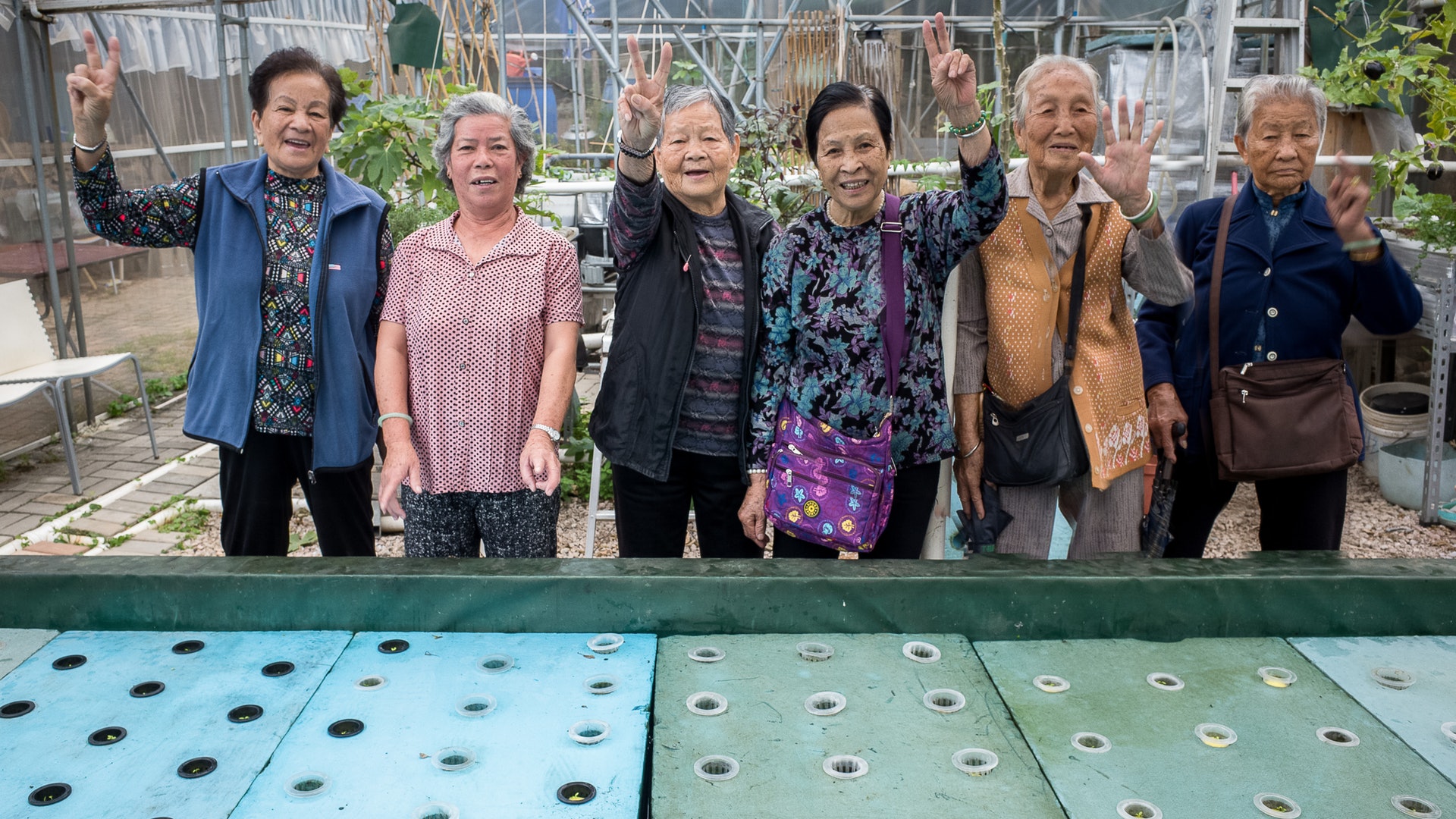 【種植冇難度】資深攝影師歸穩田園 推廣魚菜共生 為長者闢出路 【種植冇難度】資深攝影師歸穩田園 推廣魚菜共生 為長者闢出路