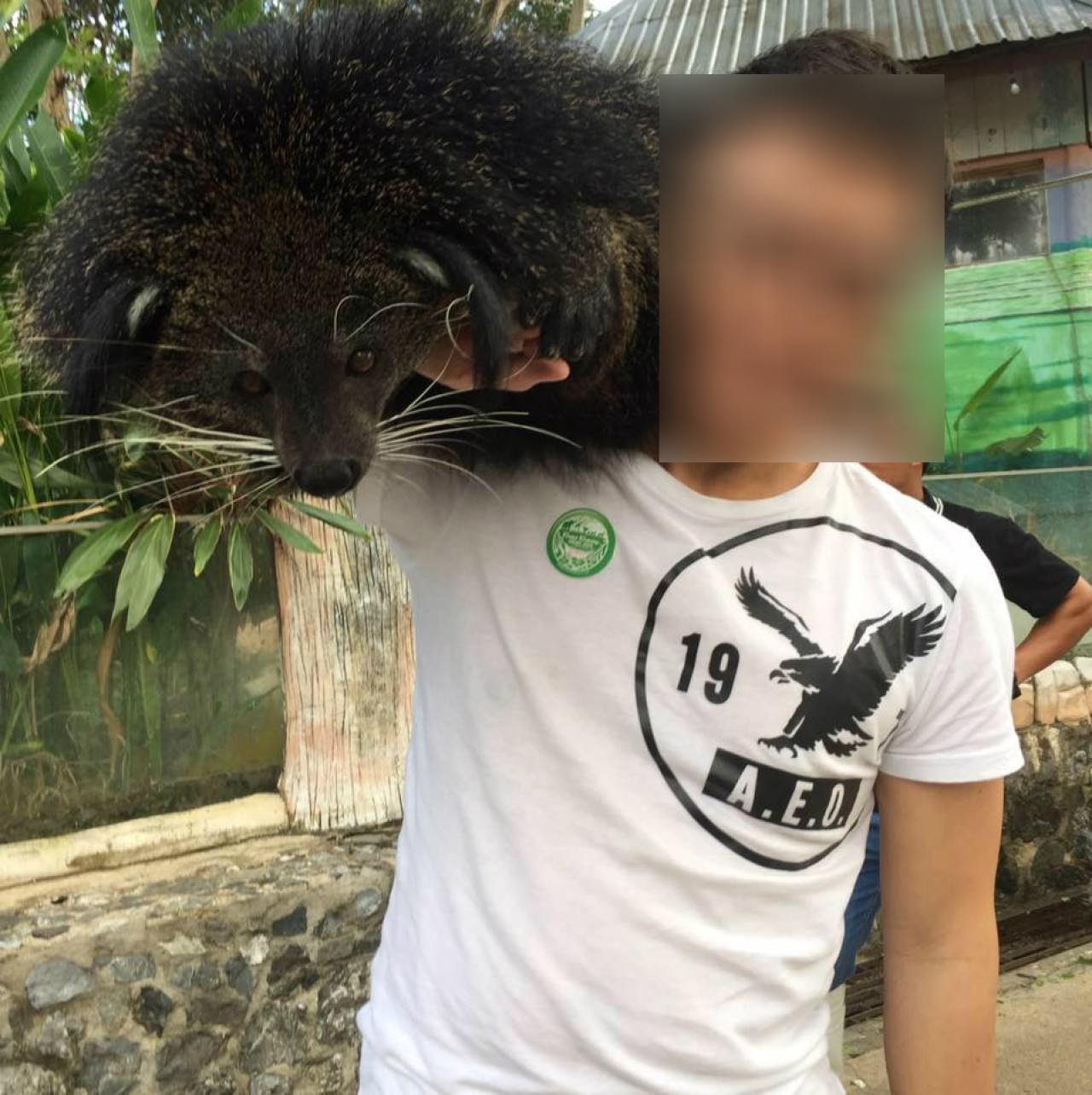 瀕危養殖場 圖輯 盤點400奇珍異獸豹貓懶猴屬高度瀕危 香港01 社會新聞