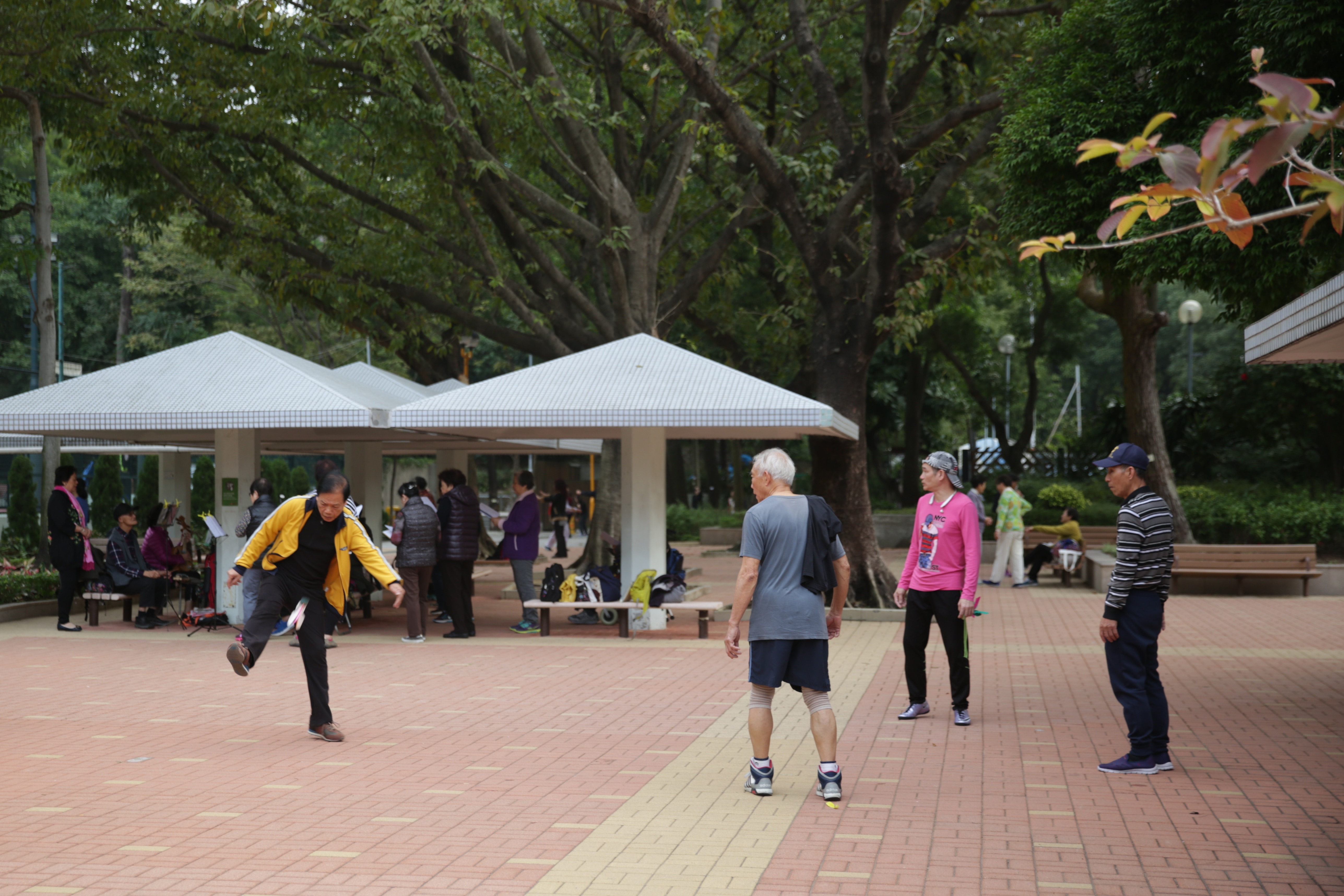 早上不少市民到公園晨運。　（黃偉民攝）