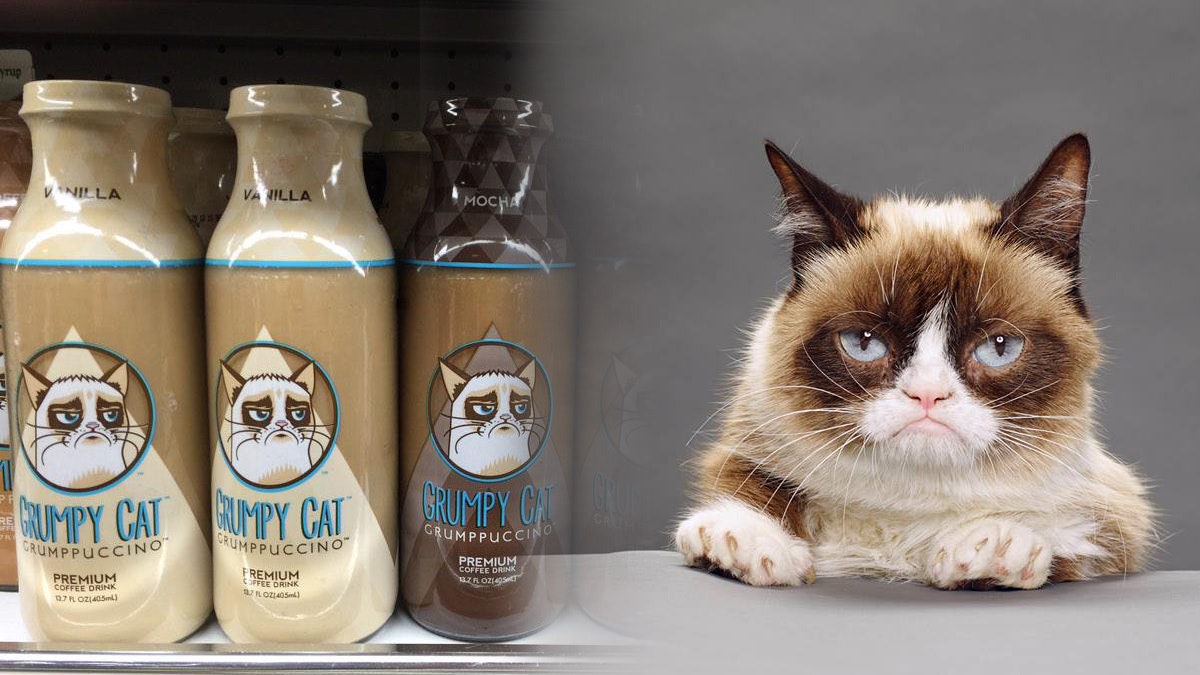 Grumpy Cat贏侵權官司獲賠555萬 律師:Memes都有版權 Grumpy Cat贏侵權官司獲賠555萬 律師:Memes都有版權
