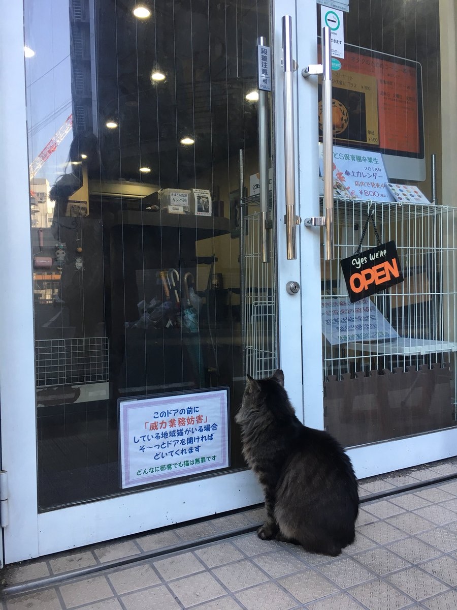 小路霸】流浪貓守門口等餵食日咖啡店主貼暖心告示請客人體諒｜香港01 