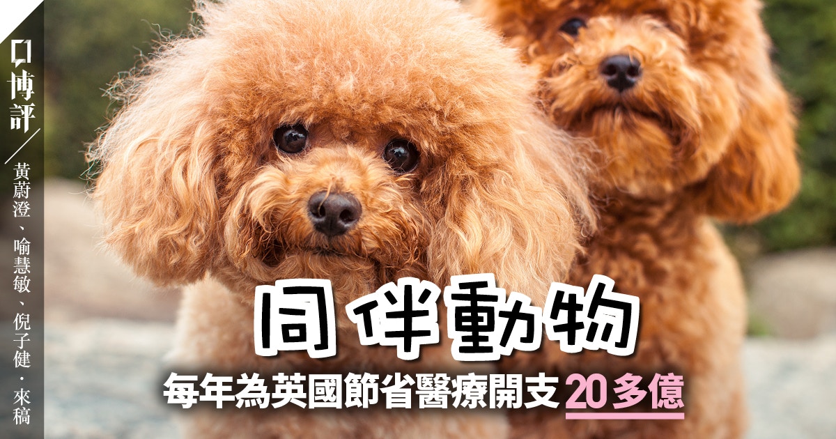 動物友善城市 與動物相處 你不知道的好處 來稿 黃蔚澄 喻慧敏 倪子健 香港01 博評