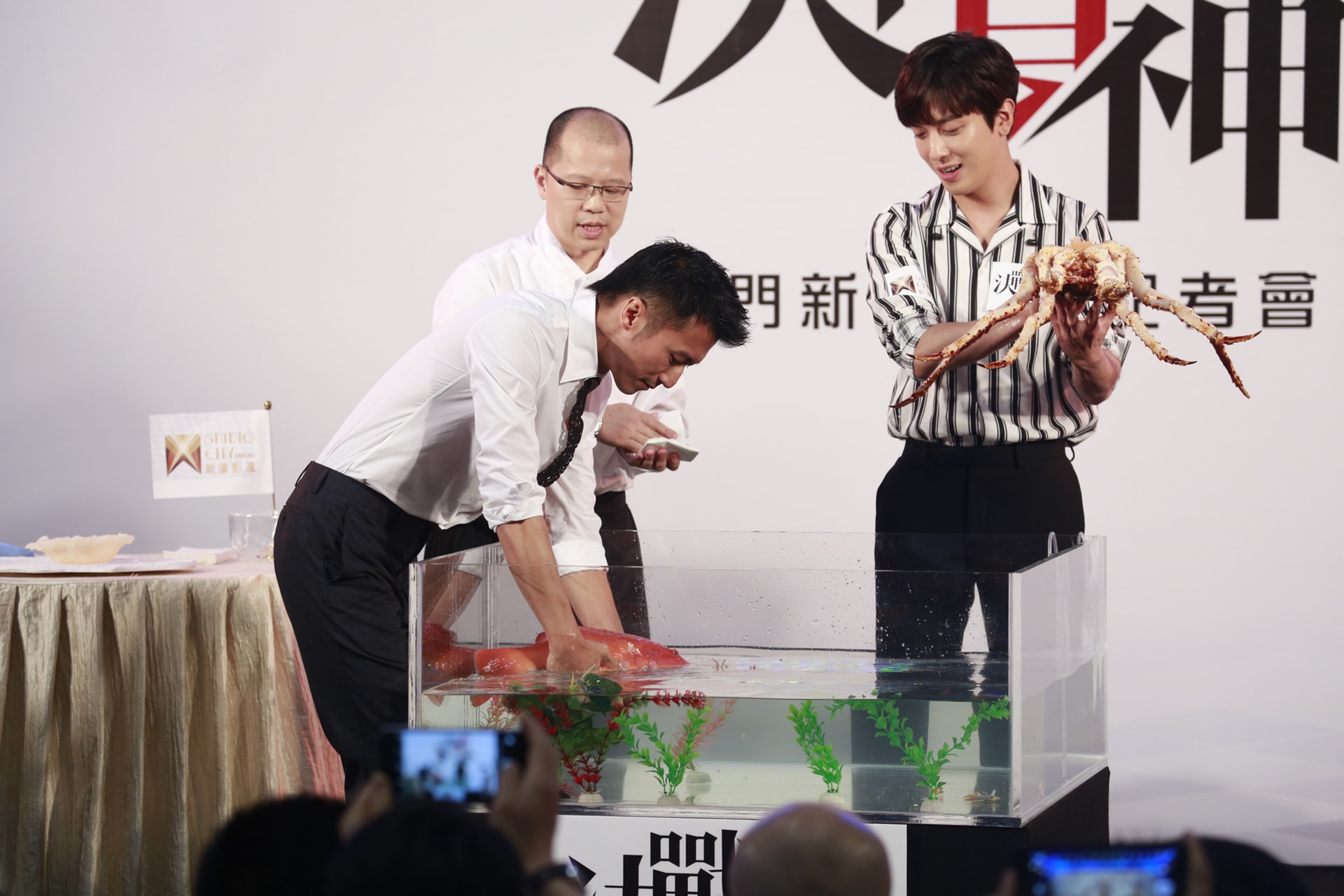 鄭容和一手從魚缸捉起巨型阿拉斯加蟹,非常厲害。(梁碧玲攝) 鄭容和一手從魚缸捉起巨型阿拉斯加蟹,非常厲害。(梁碧玲攝)