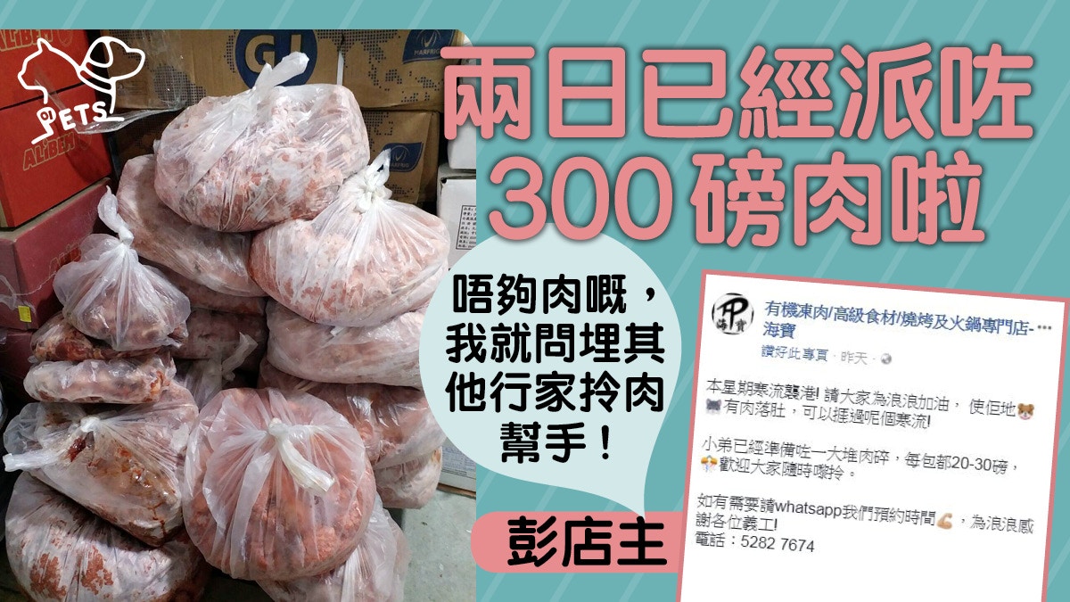 良心凍肉店贈肉助浪浪過冬　店主：關心浪浪的人不多　想盡一分力
