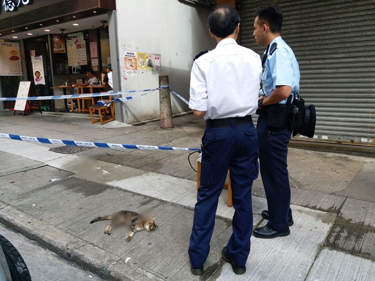 本港不時發生虐待貓狗的案件。(資料圖片)