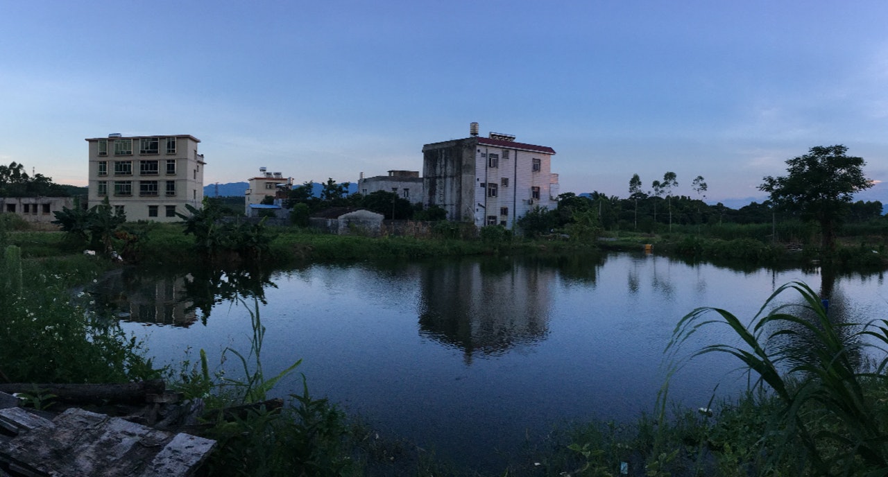 記者跟隨義工,來到廣東揭陽市偏遠村莊的無牌餐廳暗訪,餐廳靠近池塘,環境優美。(張雯攝) 記者跟隨義工,來到廣東揭陽市偏遠村莊的無牌餐廳暗訪,餐廳靠近池塘,環境優美。(張雯攝)