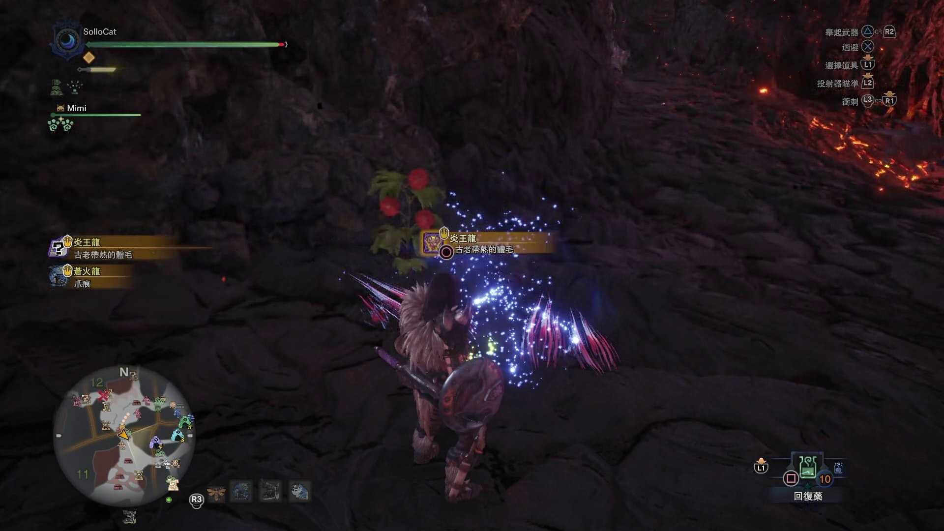 Monster Hunter World 攻略 速刷歷戰古龍痕跡 結晶山周回法 Monster Hunter World 攻略 速刷歷戰古龍痕跡 結晶山周回法