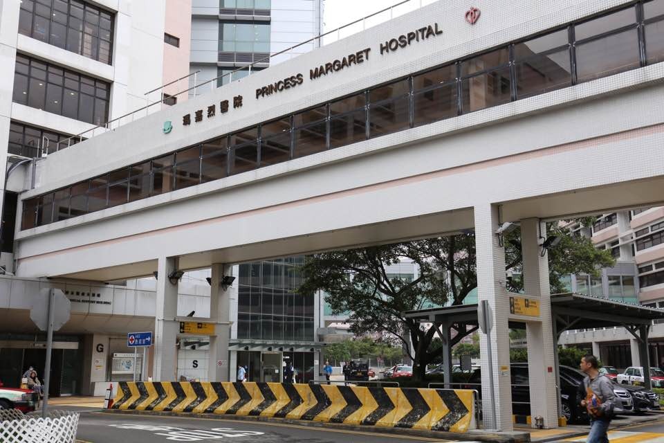 女子誤食野生海芋後疑中毒衞生署 留意含草酸鈣針晶體蔬菜