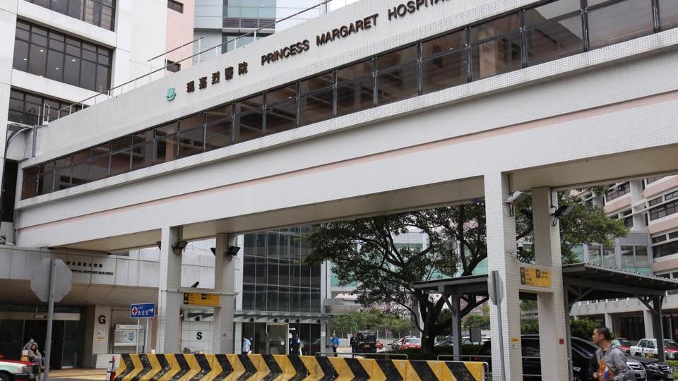 女子誤食野生海芋後疑中毒衞生署 留意含草酸鈣針晶體蔬菜 女子誤食野生海芋後疑中毒衞生署 留意含草酸鈣針晶體蔬菜