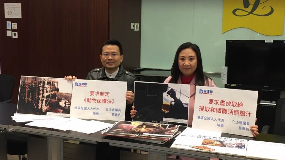 盼取締國內提取販賣活熊膽汁 葛珮帆遊說港區人大支持 盼取締國內提取販賣活熊膽汁 葛珮帆遊說港區人大支持