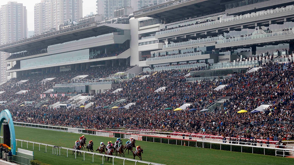 【大埔公路翻九巴】馬會維持年初三跑馬 九巴派資深車長駕馬場線 【大埔公路翻九巴】馬會維持年初三跑馬 九巴派資深車長駕馬場線