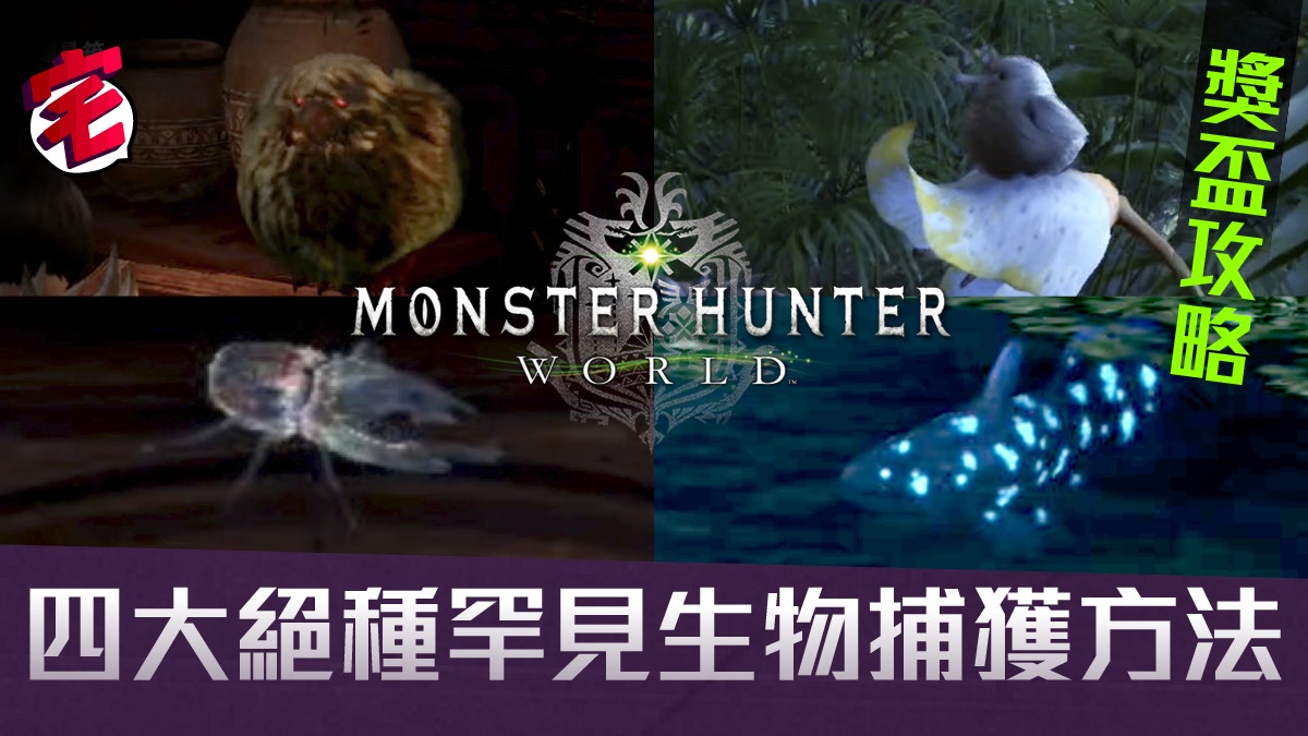 Monster Hunter World隱藏獎盃攻略 高效捕捉四大罕見生物 香港01 遊戲動漫