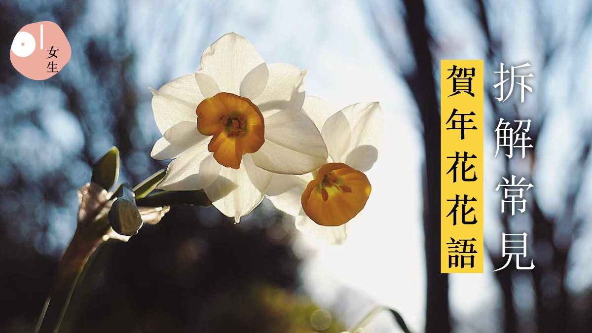 賀年花花語 美麗背後 水仙代表是自戀美少年桃花是錯了timing 賀年花花語 美麗背後 水仙代表是自戀美少年桃花是錯了timing
