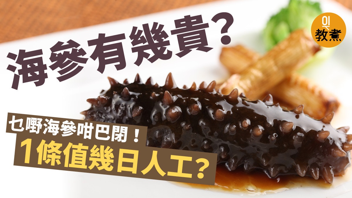 海參種類 遼參 婆參 禿參等應揀邊款 即學如何清洗浸發 香港01 教煮 海參種類 遼參 婆參 禿參等應揀邊款 即學如何清洗浸發 香港01 教煮