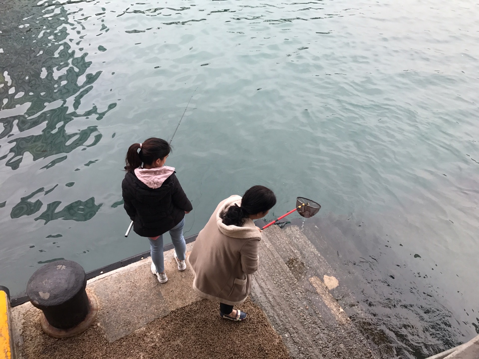 這一邊有人在放生各款海魚,在碼頭的另一邊,則有市民將疑似被放回大海的泥鯭撈起。(梁煥敏攝)
