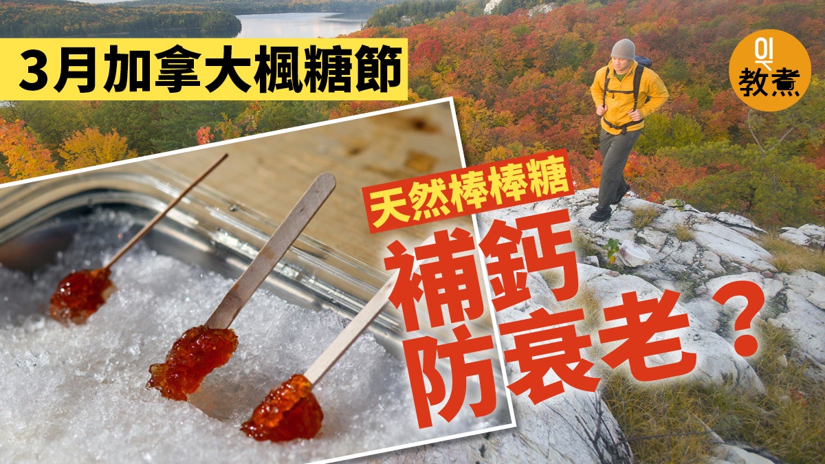 楓糖漿 加拿大天然果糖高鈣抗氧化楓樹 血液 愈深色愈好 香港01 教煮