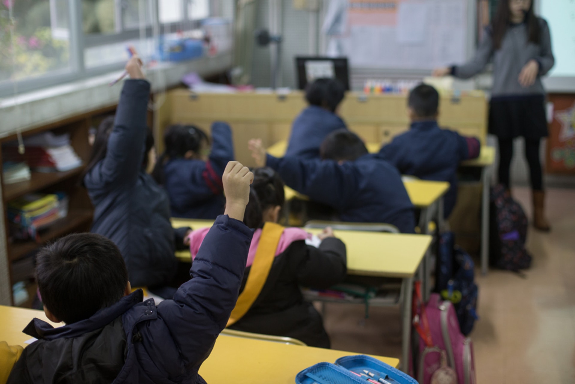 教育局指,已收到考評局提交2024年全港性系統評估報告。(資料圖片) 教育局指,已收到考評局提交2024年全港性系統評估報告。(資料圖片)