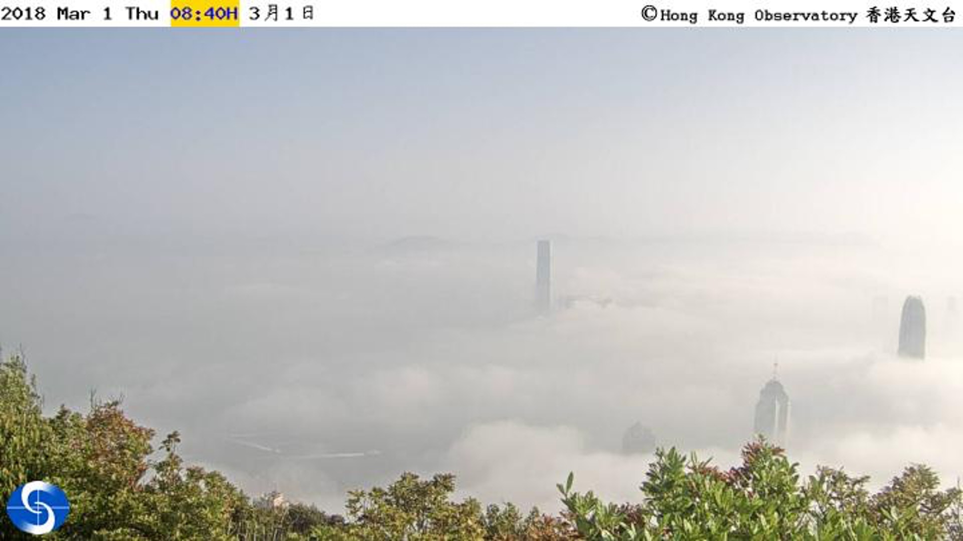 有片 天文台太平山鏡頭 捕獲 維港雲海產生過程原理有得解 香港01 社會新聞 有片 天文台太平山鏡頭 捕獲 維港雲海產生過程原理有得解 香港01 社會新聞