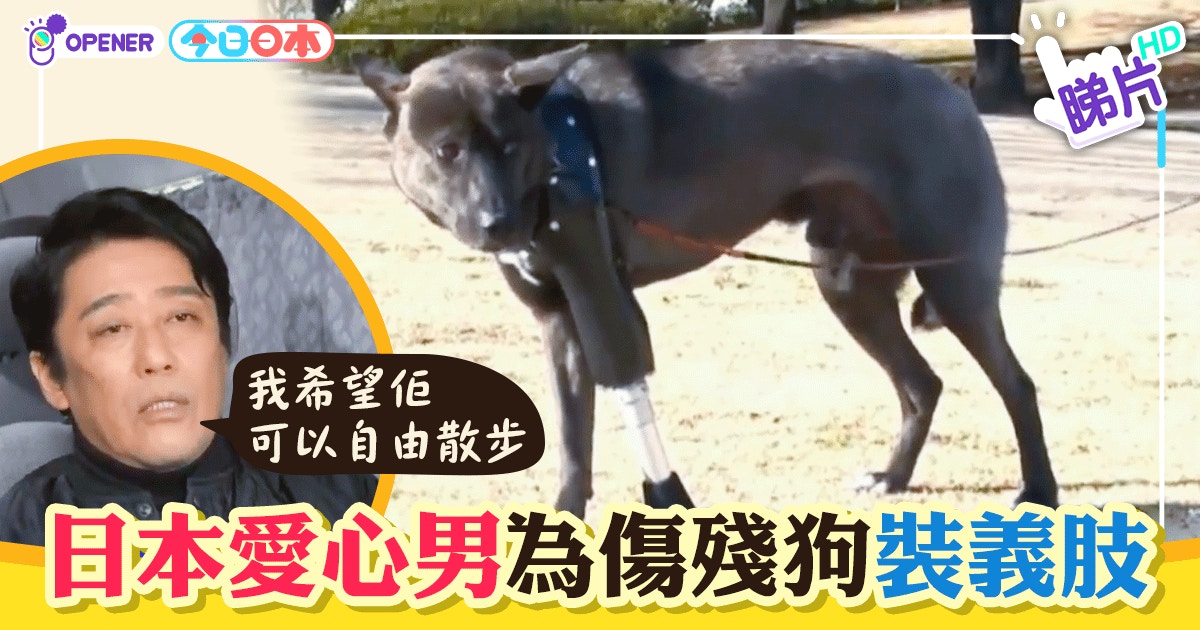日本男藝人為傷殘狗造義肢愛心狗主 只想牠可以自由散步 香港01 開罐