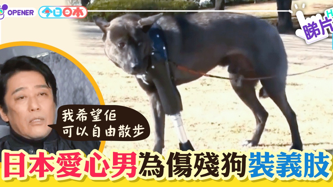 日本男藝人為傷殘狗造義肢愛心狗主 只想牠可以自由散步 香港01 開罐 日本男藝人為傷殘狗造義肢愛心狗主 只想牠可以自由散步 香港01 開罐