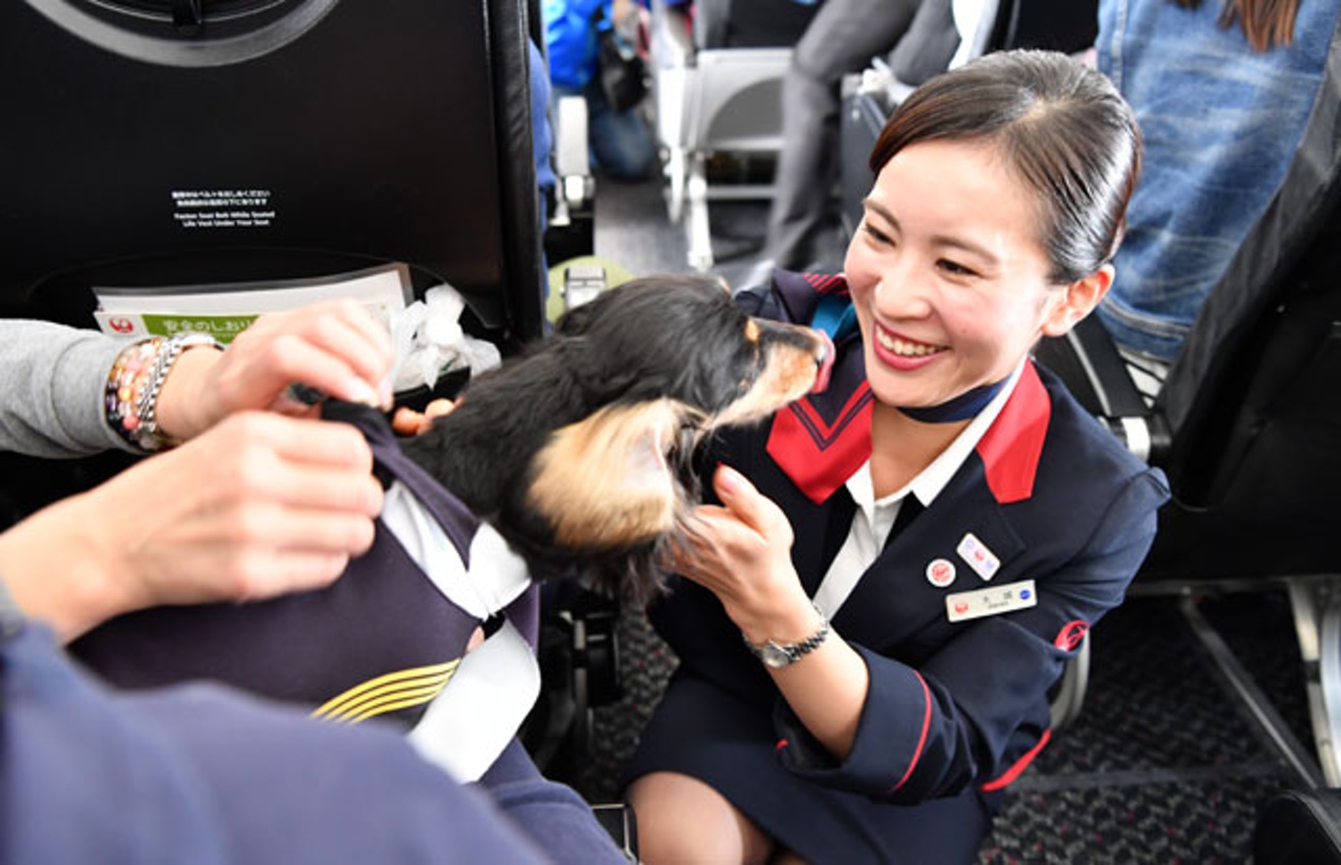狗狗上飛機,就連空姐都相當雀躍,爭相合照。(Aviation Wire) 狗狗上飛機,就連空姐都相當雀躍,爭相合照。(Aviation Wire)