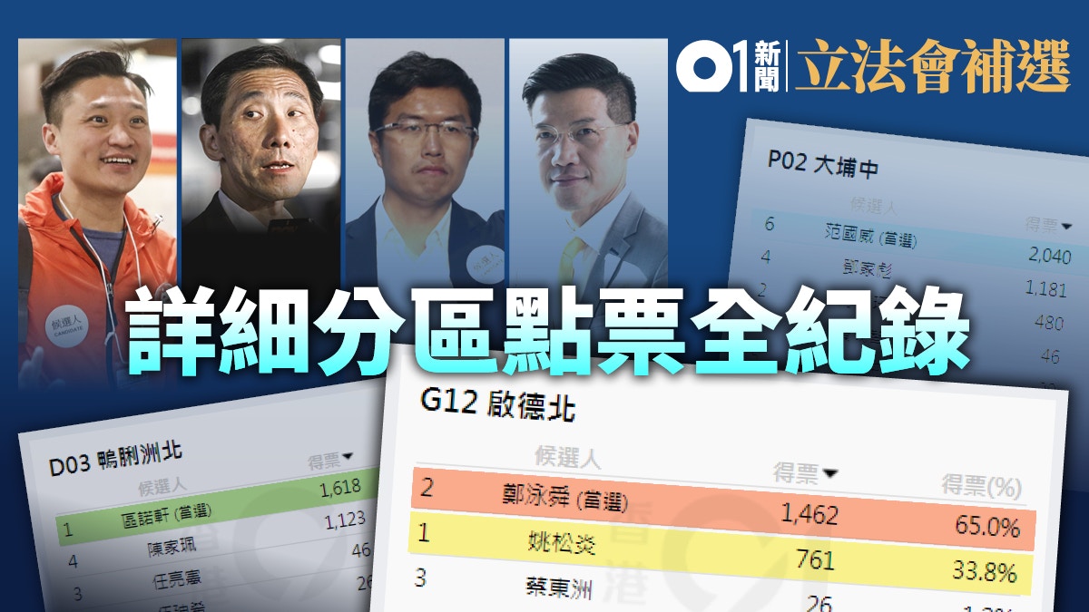 【立法會補選】投票結果詳細分區點票全紀錄　你也可以做數據專家