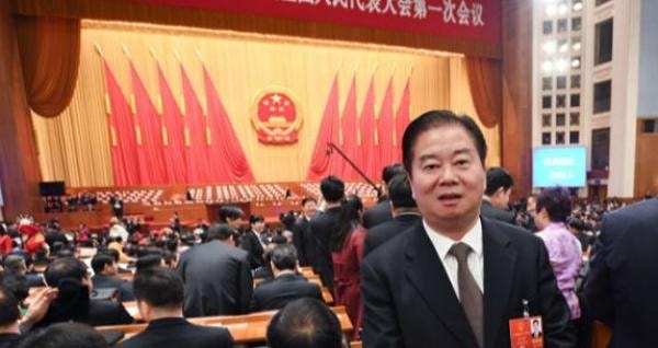 港區全國人大代表林龍安。（澎湃新聞）