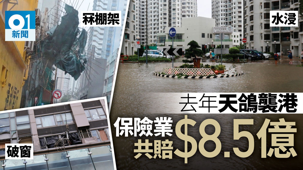 天鴿風球 去年五颱風襲港保險索償9 35億天鴿佔九成 香港01 社會新聞